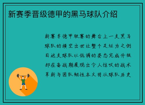 新赛季晋级德甲的黑马球队介绍